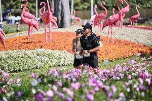 BIB: 
                            <button type="button" onclick="openModal(27793890)" class="btn btn-primary btn-sm float-right btn-popup" data-toggle="modal" data-target=".modal-high-quality">
                        <i class="fas fa-shopping-cart"></i> Add to Cart
                    </button>
                                            <button type="button" onclick="isThisMe(27793890, true)" class="btn btn-success btn-sm float-right btn-popup btn-isme hidden" data-toggle="tooltip" data-placement="bottom" title="นี่คือรูปของคุณใช่ไหม คลิกที่นี่เพื่อเอาเข้าอัลบั้ม">
                        <i class="fas fa-plus"></i> Add to album
                    </button>
                    <button type="button" onclick="isThisMe(27793890, false)" class="btn btn-warning btn-sm float-right btn-popup btn-isnotme hidden">
                        <i class="fas fa-ban"></i> Remove from album
                    </button>